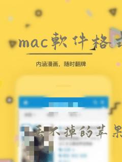 mac软件格式