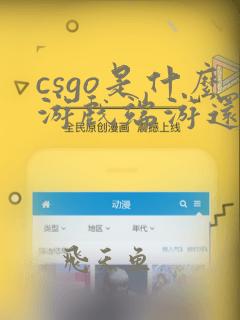 csgo是什么游戏端游还是手游