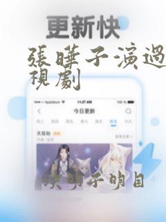 张晔子演过的电视剧