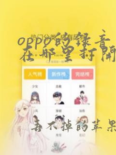 oppo的录音在哪里打开