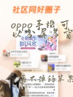 oppo手机可以分屏多窗口吗