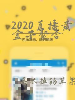 2020直播黄盒子聚合