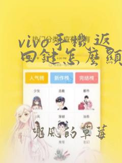 vivo手机返回键怎么显示出来