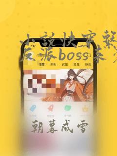 小说快穿系统之反派boss来袭