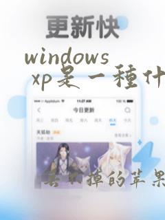 windows xp是一种什么软件