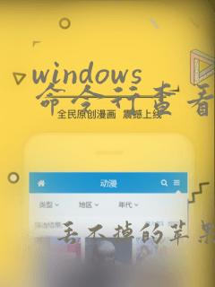 windows命令行查看文件夹大小