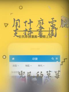 用什么电脑能够支持画图