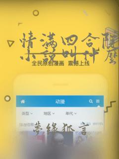 情满四合院原著小说叫什么名字