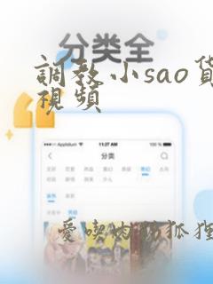 调教小sao货视频