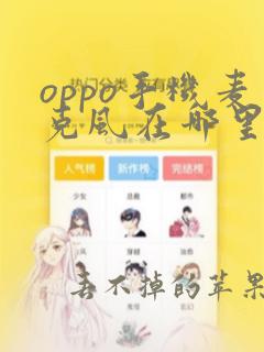 oppo手机麦克风在哪里打开