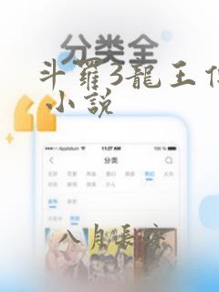 斗罗3龙王传说 小说