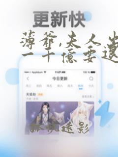 薄爷,夫人出价一千亿要退婚电子书下载