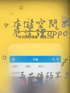 存储空间不足怎么清理oppo