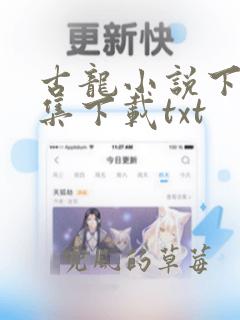 古龙小说下载全集下载txt