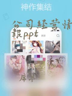 公司经营情况汇报ppt