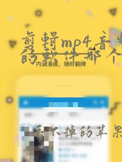 剪辑mp4音频的软件哪个好用