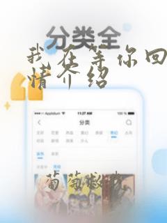 我在等你回家剧情介绍