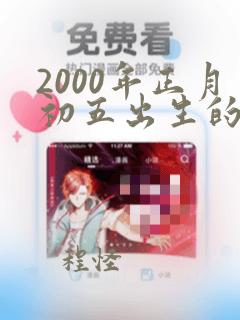 2000年正月初五出生的男孩是什么命