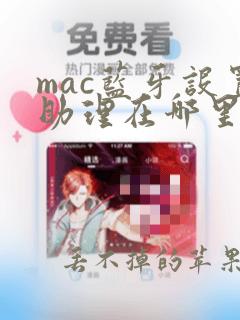 mac蓝牙设置助理在哪里