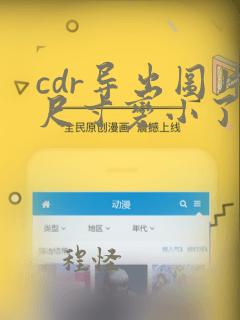 cdr导出图片尺寸变小了