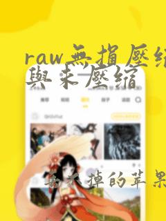 raw无损压缩与未压缩