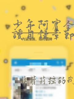 少年阿宾全文阅读目录章节txt