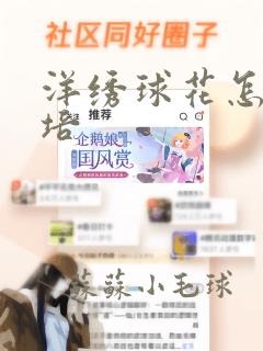 洋绣球花怎么栽培