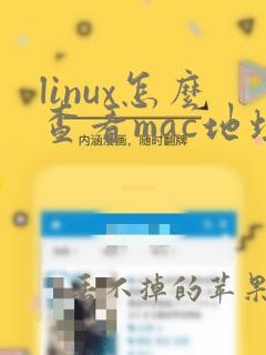 linux怎么查看mac地址