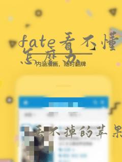 fate看不懂怎么办