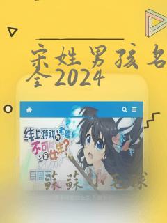 宋姓男孩名字大全2024