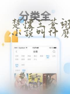 楚怀玉苍翊原著小说叫什么名字