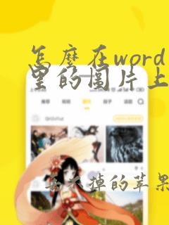 怎么在word里的图片上加文字