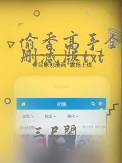 偷香高手全文无删减版txt