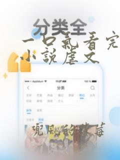 一口气看完推文小说虐文