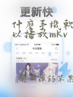 什么手机软件可以播放mkv