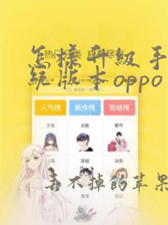 怎样升级手机系统版本oppo