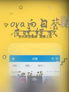 ova向日葵在夜晚绽放