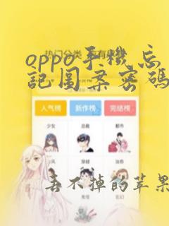 oppo手机忘记图案密码怎么办怎么解锁