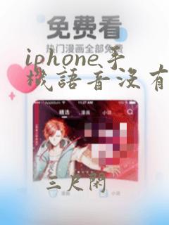 iphone手机语音没有声音