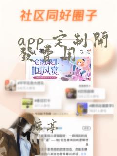 app 定制开发费用