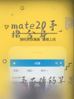 mate20手机分身