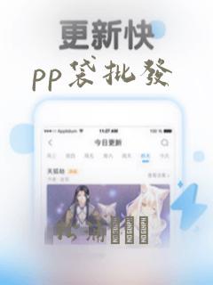 pp袋批发