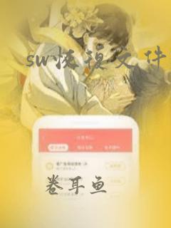 sw恢复文件