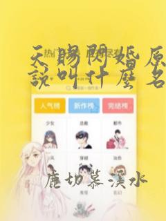 天赐闪婚原著小说叫什么名字