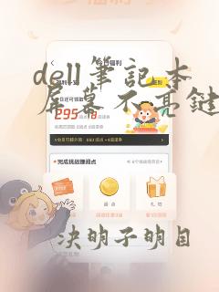 dell笔记本屏幕不亮键盘亮