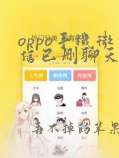 oppo手机微信已删聊天记录恢复正常