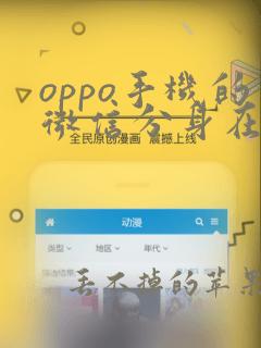 oppo手机的微信分身在哪里设置