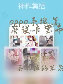 oppo手机怎么从卡里面导入联系人