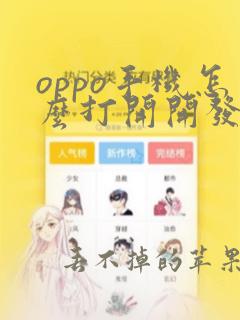 oppo手机怎么打开开发者模式