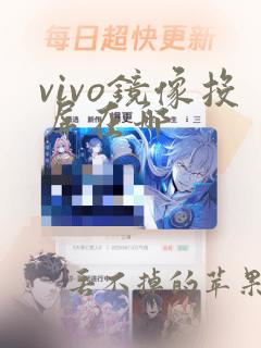 vivo镜像投屏在哪